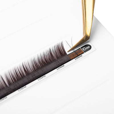 Volume/Classic Mayfair Lashes 0.10 in Schwarz-Braun