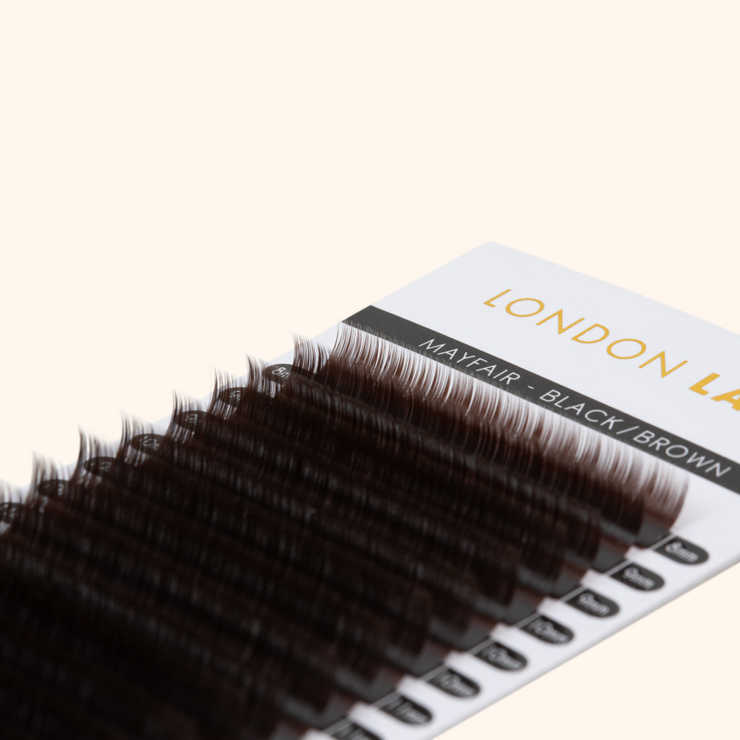 Schwarzbraune Wimpern - Ristretto Collection 0,05 Einzelwimpern