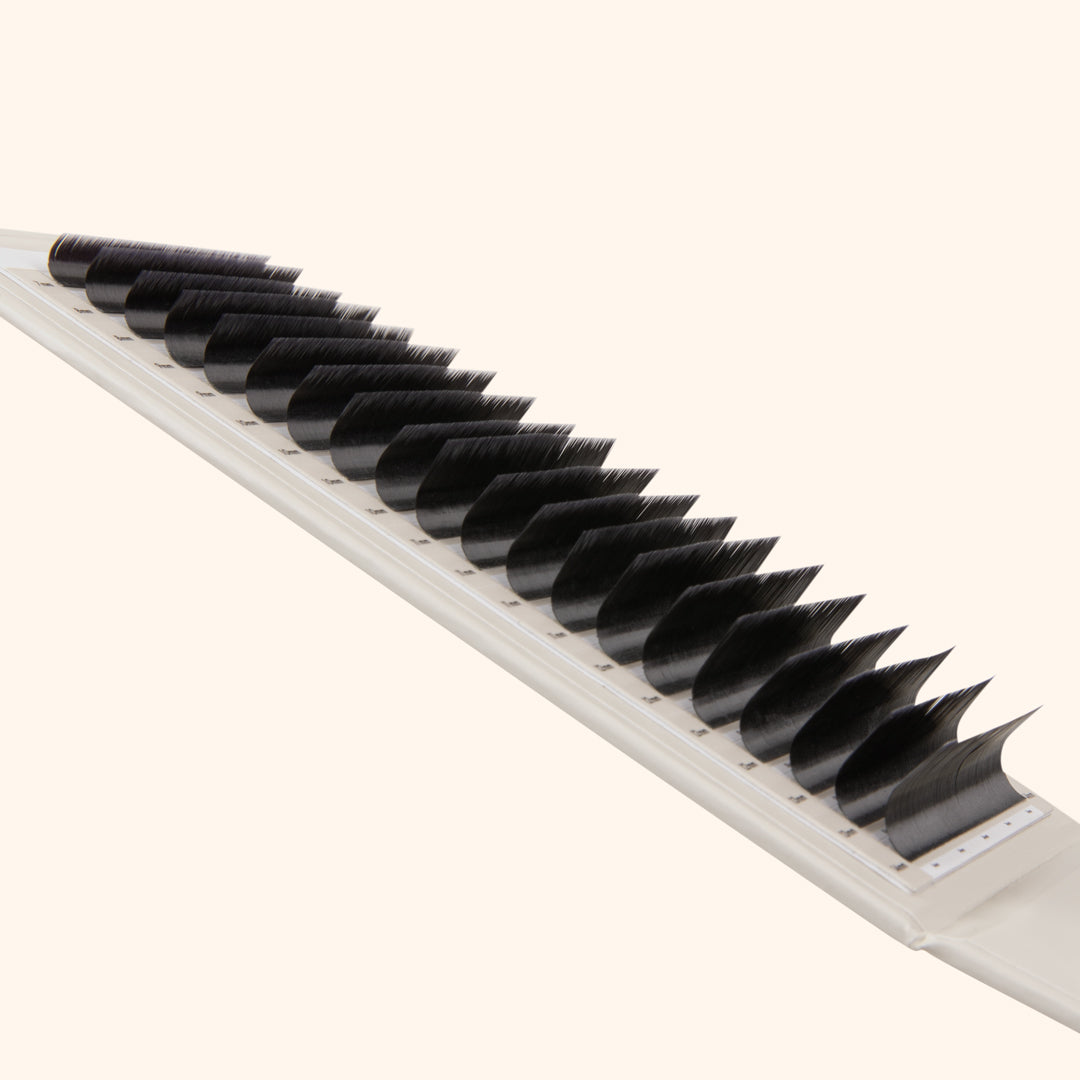 Volume Ciglia Kensington 0,07 - 20 linee di ciglia