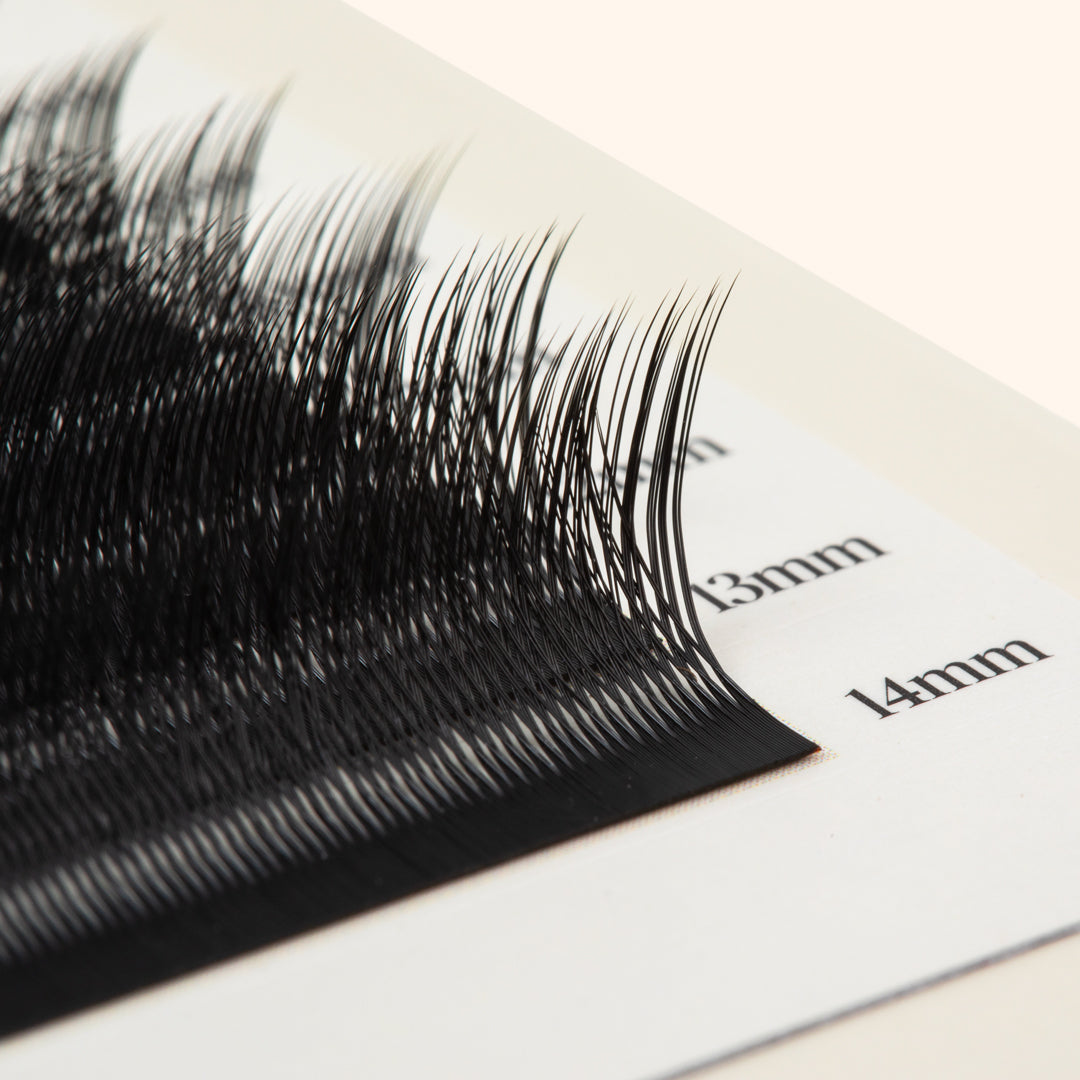 Kätzchenwimpern - Schwarz