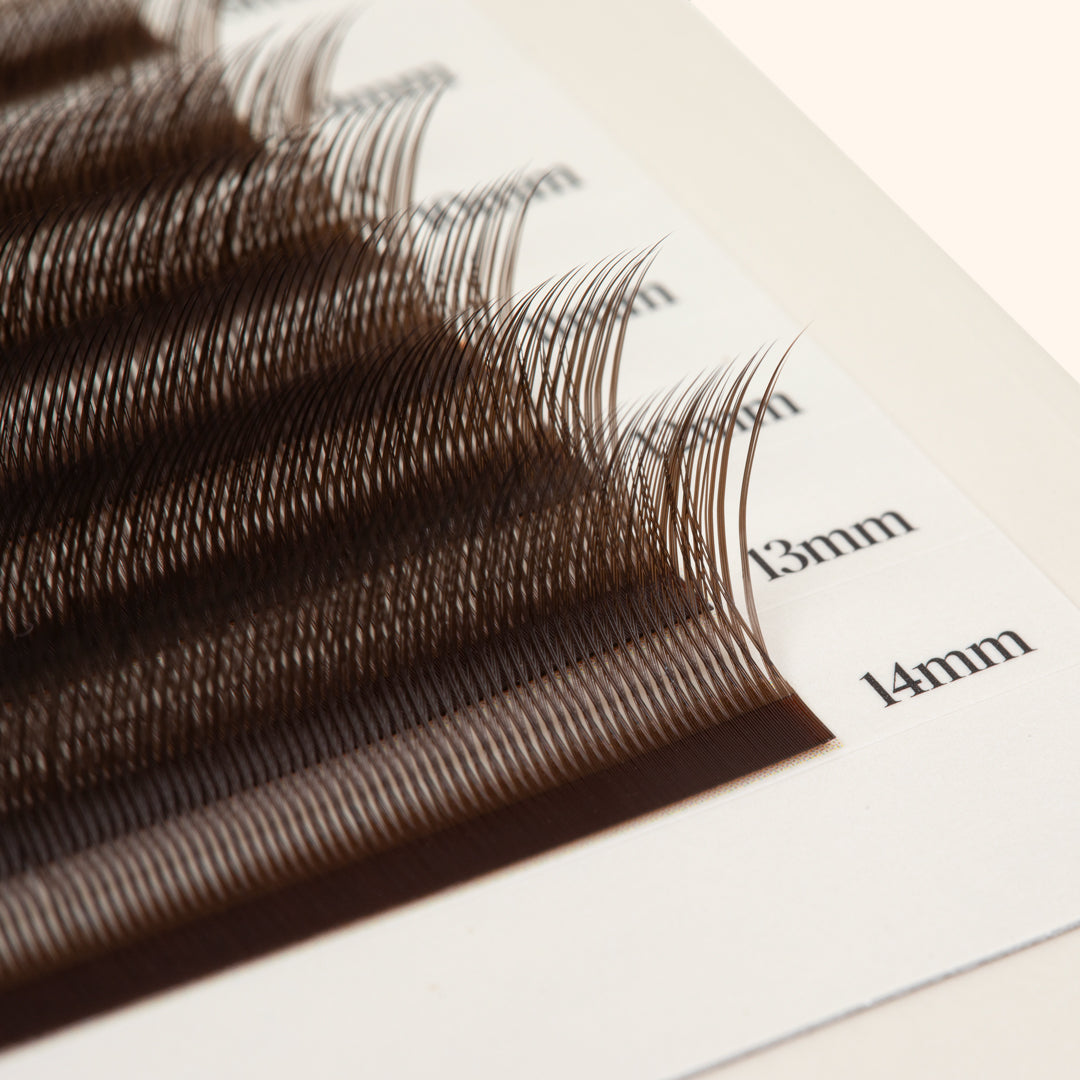 Kätzchenwimpern - Braun