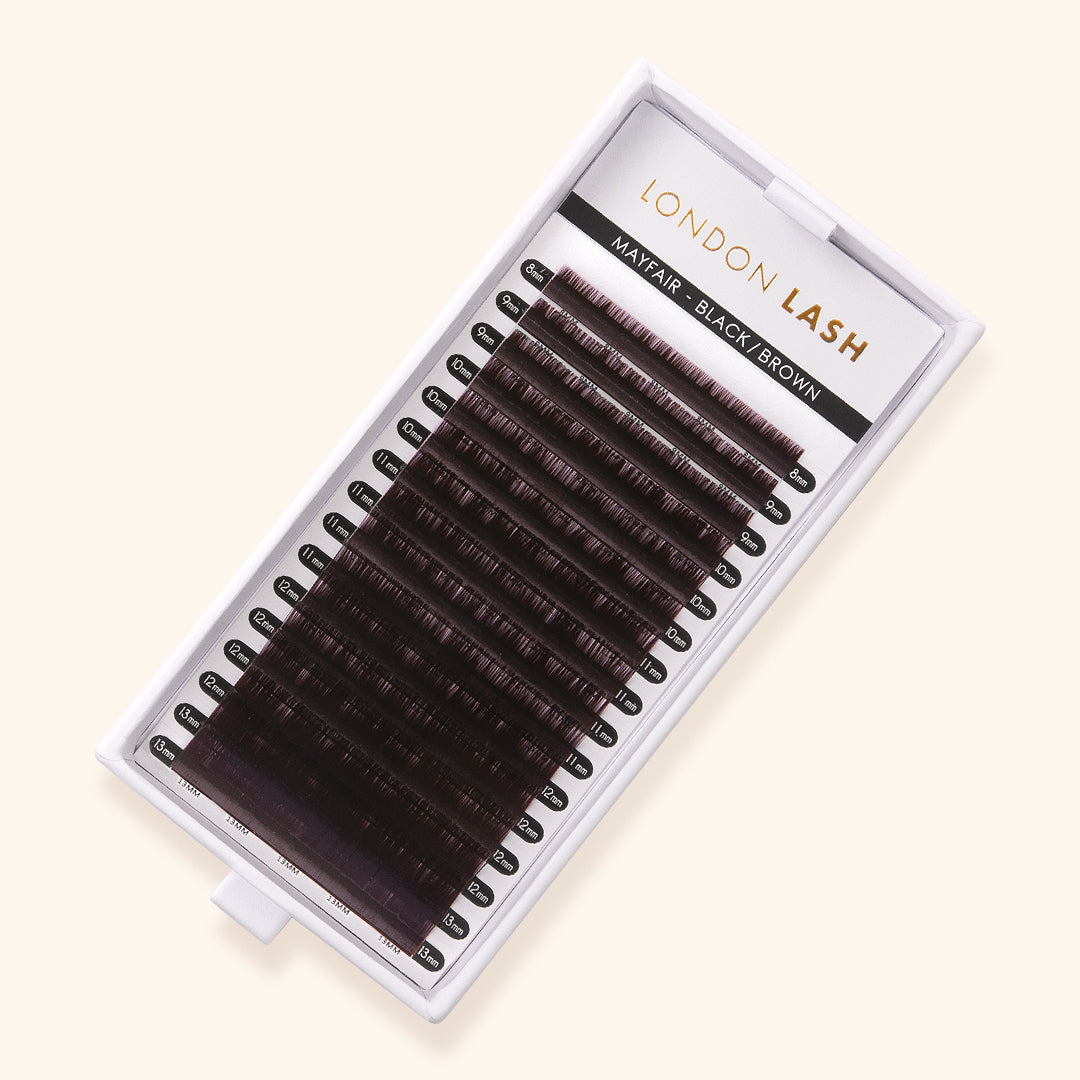 Volume/Classic Mayfair Lashes 0.10 in Schwarz-Braun