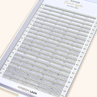 Mayfair Fertige Spikes 5D 0.06 1000 FÄCHER - MIX TRAY